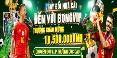 プロフィール｜Bongvip 26