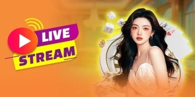 プロフィール｜Vip79