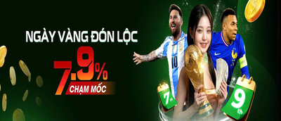 プロフィール｜febetvin