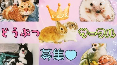 プロフィール｜もふとも🐶