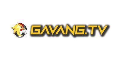 プロフィール｜gavangtvco