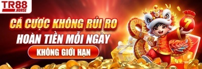 プロフィール｜tr88horse