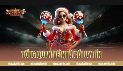 プロフィール｜nhacaiuytingdnn