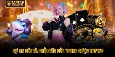 プロフィール｜taptapvn live