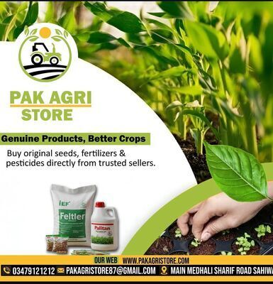 プロフィール｜fiver