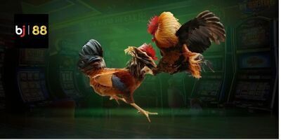 プロフィール｜bj88gameinnet