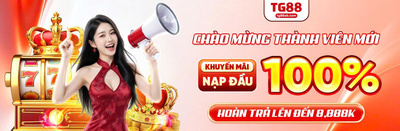 プロフィール｜TG88