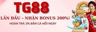 ヘッダー画像｜tg88surf