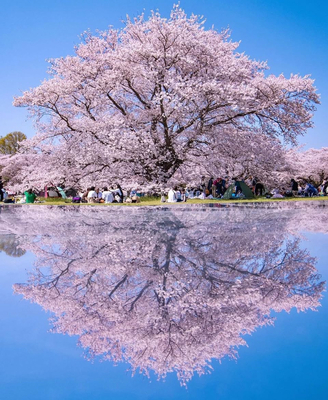 プロフィール｜関西アウトドアサークル