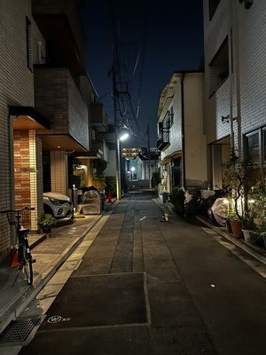 プロフィール｜り