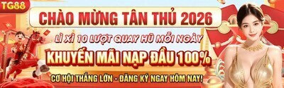 プロフィール｜TG88