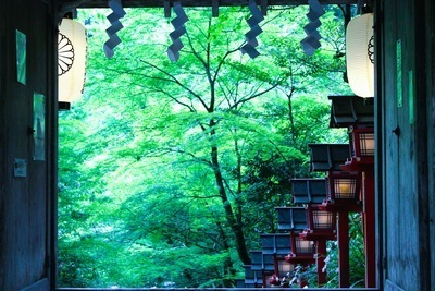 プロフィール｜歩いて巡る奈良！京都！