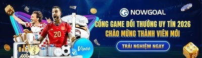 プロフィール｜nowgoalvinet
