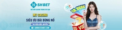 プロフィール｜SHBET