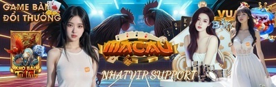 プロフィール｜Nhatvip