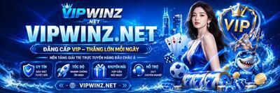 ヘッダー画像｜vipwinznet