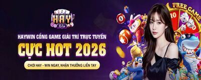 プロフィール｜haywin2026com