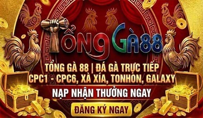 ヘッダー画像｜TỔNG GÀ 88