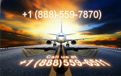 プロフィール｜Latam Airlines Service Number