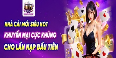 プロフィール｜Haywin