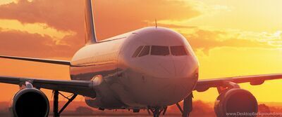 プロフィール｜Delta Airlines support phone number
