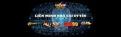 プロフィール｜100VIP