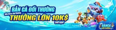 プロフィール｜bắn cá xèng
