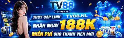 ヘッダー画像｜TV88