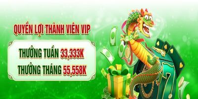 ヘッダー画像｜Thủ Lĩnh Rồng