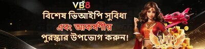 ヘッダー画像｜বেটিং সাইট VB8