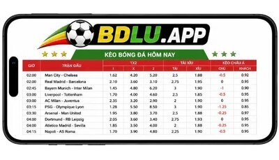 プロフィール｜BDLU