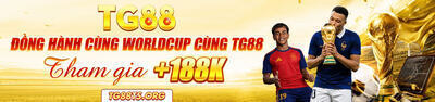 プロフィール｜tg88t5org