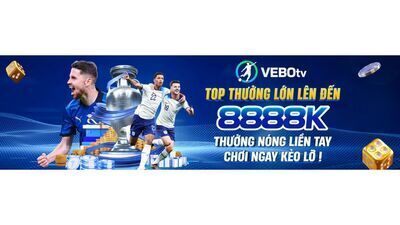 プロフィール｜vebotv