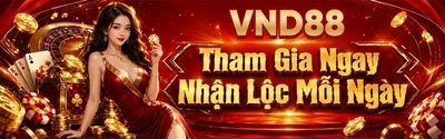 プロフィール｜VND88
