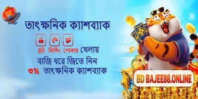プロフィール｜Bdbajee
