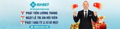 プロフィール｜SHBET