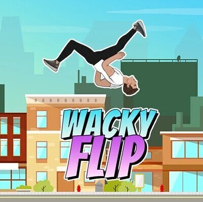 プロフィール｜wacky flip