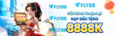 プロフィール｜FLY88