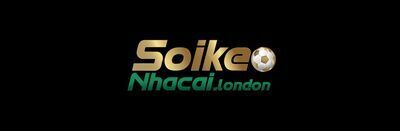 プロフィール｜soikeonhacailondon
