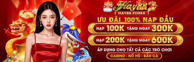 プロフィール｜hay88forex