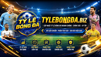 プロフィール｜tylebongdabiz