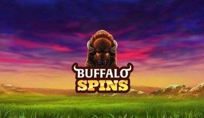 ヘッダー画像｜buffalospinsbritain