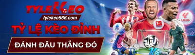 ヘッダー画像｜Tỷ lệ kèo