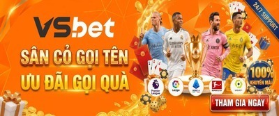 プロフィール｜VSBET