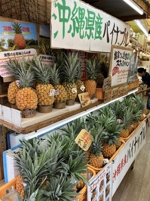 プロフィール｜ビーチくらぶ⛱️ココナッツ部🥥