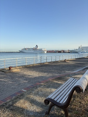 プロフィール｜ビーチくらぶ⛱️ココナッツ部🥥