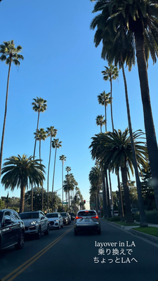 プロフィール｜ビーチくらぶ⛱️ココナッツ部🥥