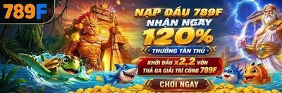 プロフィール｜789F