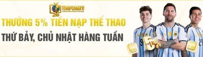 プロフィール｜Tống Văn Tiền