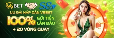 プロフィール｜V9BET